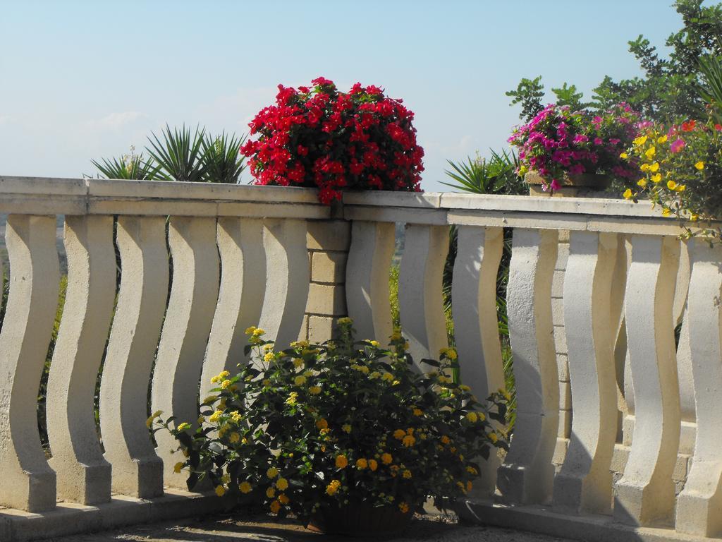 Agriturismoeloropizzuta Lido di Noto Стая снимка