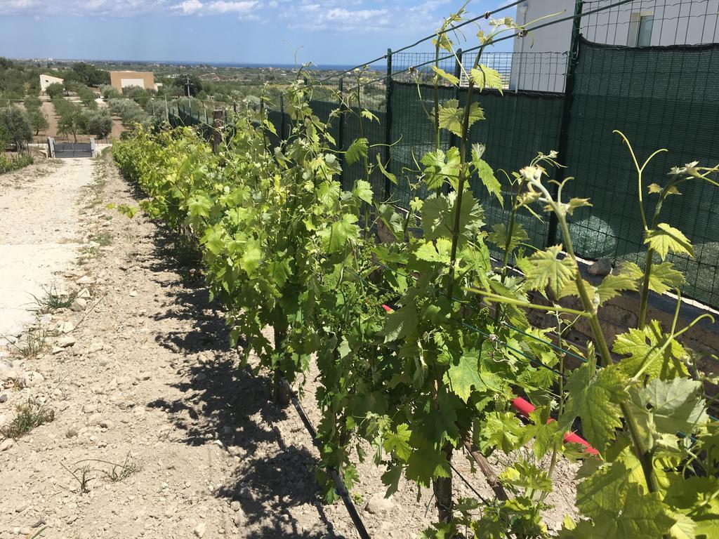 Agriturismoeloropizzuta Lido di Noto Екстериор снимка